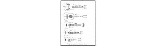 Ukulele Ukulele